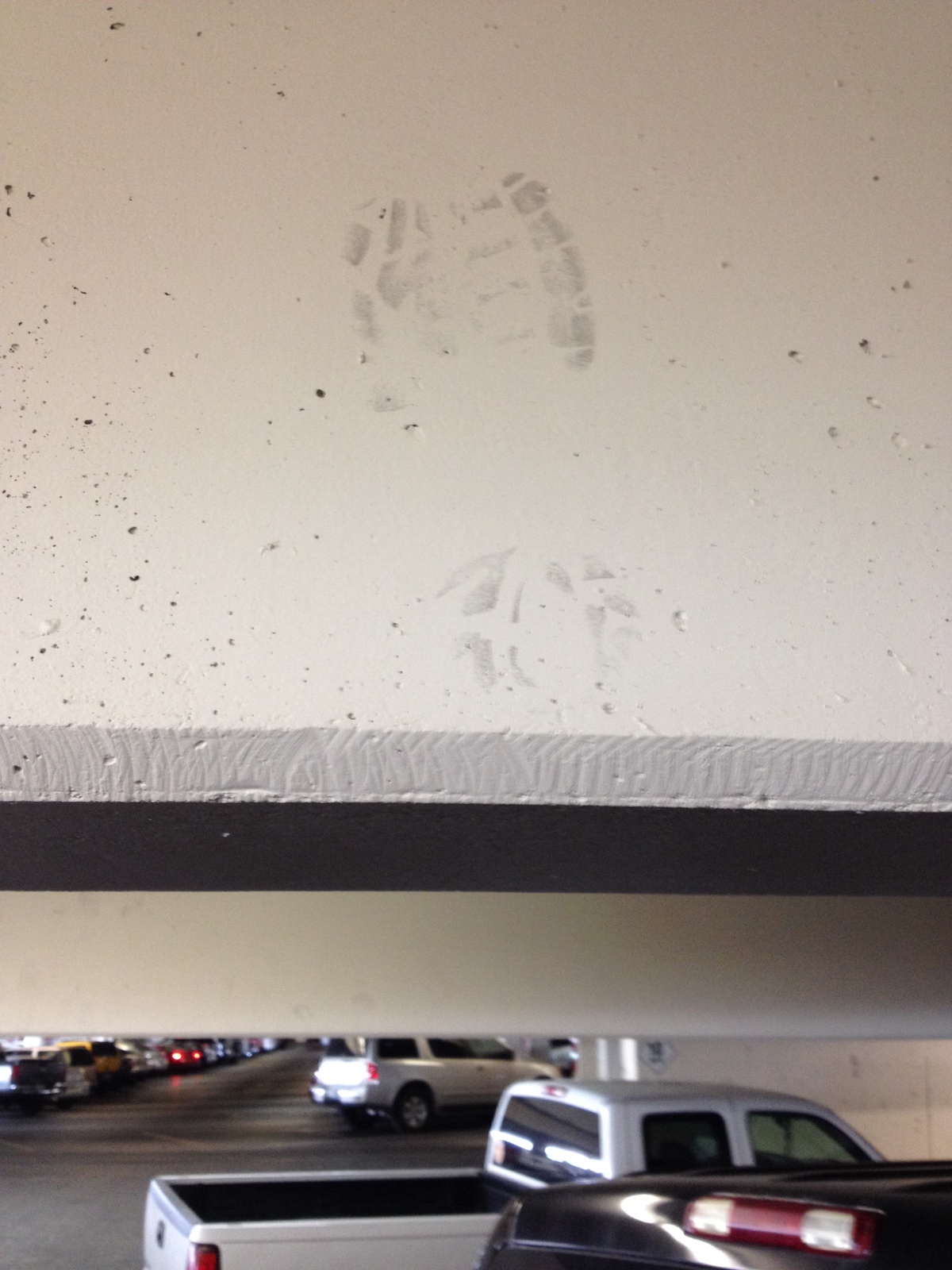 244 DSC01066b IMG 4037